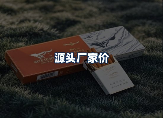 专业团队办公环境